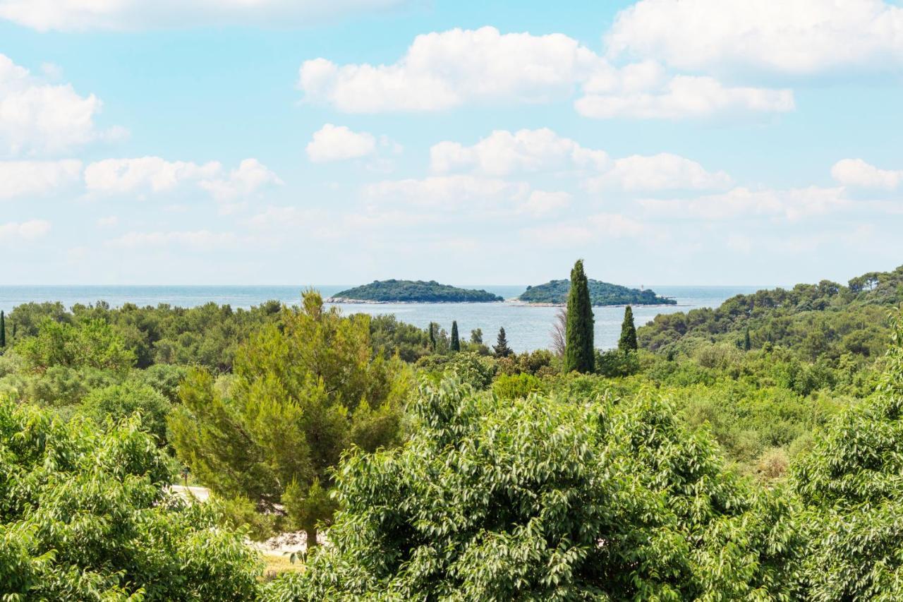 Apartment Centener Rovinj Exterior photo